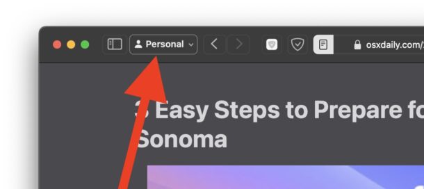 Safari Profiles support in MacOS Sonoma