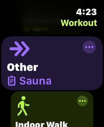 Sauna available in Workouts on Apple Watch