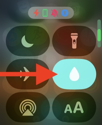 Enable the Water Lock option to lock the Apple Watch screen and prevent accidental touch input