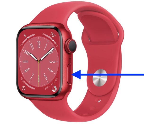 Press the side button on Apple Watch to access Control Center