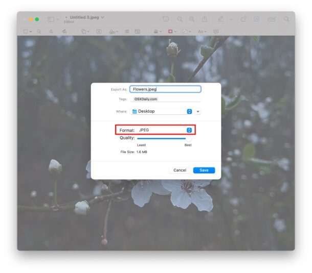 How to compress images on Mac with Preview by saving as a JPEG