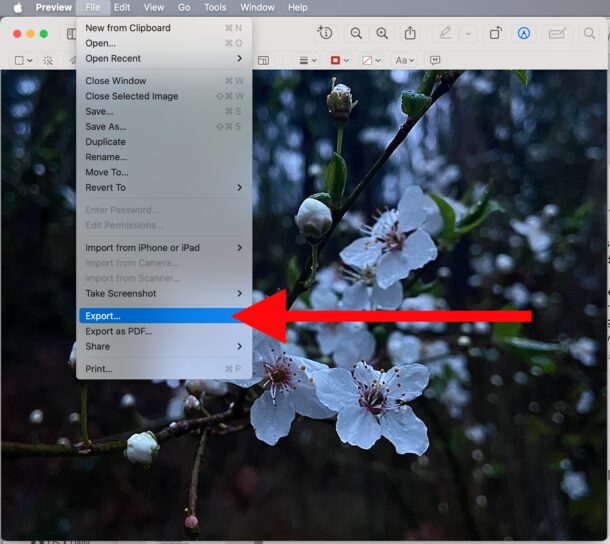How to compress images on Mac with Preview