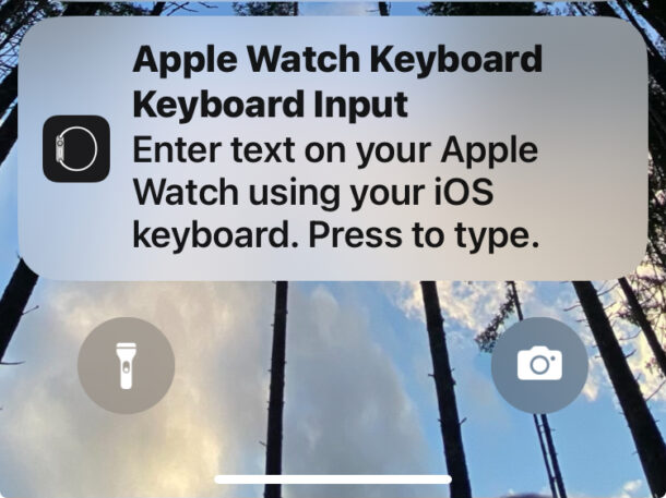 Use iPhone to type on Apple Watch