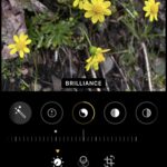 How to bulk image edit on iPhone and iPad with copy and paste edits