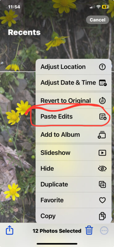 How to paste edits on iPhone and iPad for easy bulk image editing