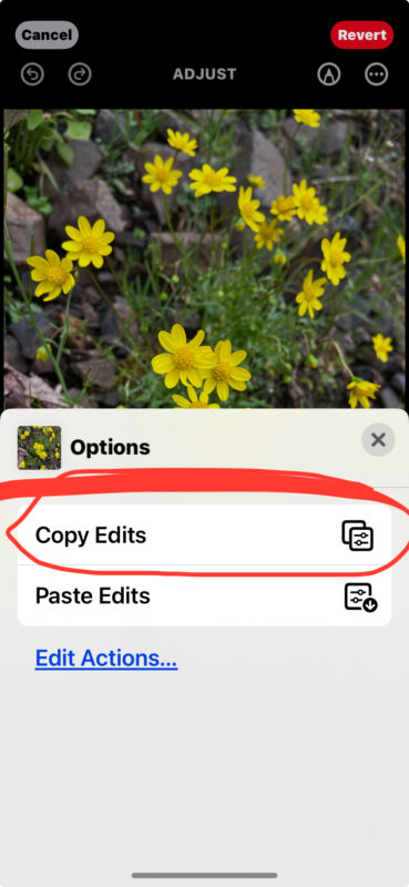 How to copy and paste image edits on iPhone and iPad