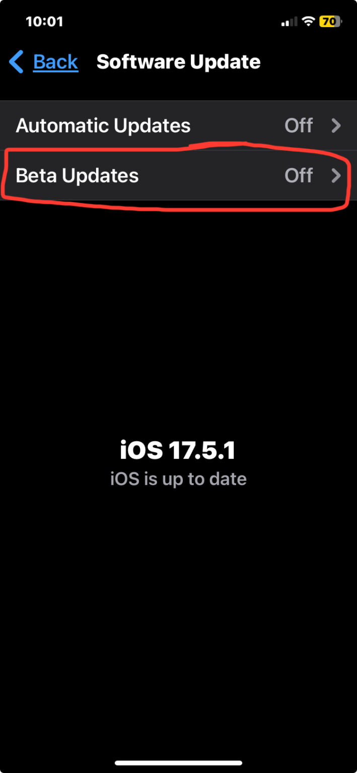 How to Install iOS 18 Beta on iPhone - OS X Daily