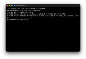 Need Java on MacOS? Here's How to Install Java (JDK/JRE) on Mac with ...